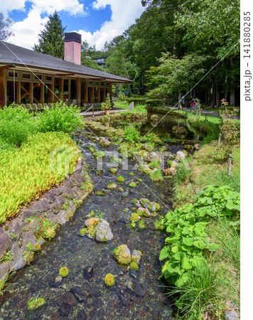 入園無料・駐車場無料 山梨県忍野村 さかな公園の風景 入園無料・駐車場無料 山梨県忍野村 さかな公園の風景 141880285