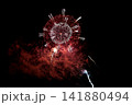 ふくろい遠州の花火2026  141880494
