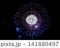 ふくろい遠州の花火2026  141880497