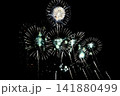 ふくろい遠州の花火2026  141880499