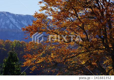 秋の長野県小谷鎌蒲池とその途中の紅葉が大変美しく変化に富んでいます。 141881352