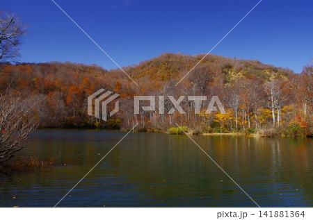 秋の長野県小谷鎌蒲池とその途中の紅葉が大変美しく変化に富んでいます。 141881364