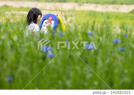 Little girl drawing on an easel hidden in tall grass and wildflowers on a sunny day. Little girl drawing on an easel hidden in tall grass and wildflowers on a sunny day. 141881525