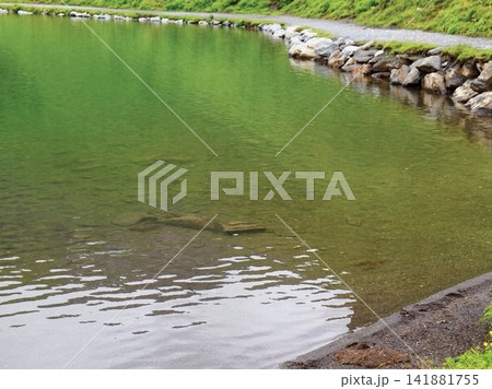 スイス・アルプスの澄んだ水面と緑豊かな湖畔の静かな風景 スイス・アルプスの澄んだ水面と緑豊かな湖畔の静かな風景 141881755
