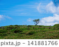 碧空と緑の丘 141881766