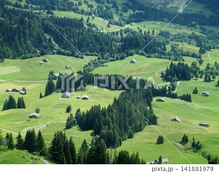 ロープウェイから見下ろすスイス・アルプスの緑豊かな草原と山荘の鳥瞰風景 ロープウェイから見下ろすスイス・アルプスの緑豊かな草原と山荘の鳥瞰風景 141881979