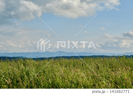 Vast Horizon and Sky Landscape 141882771