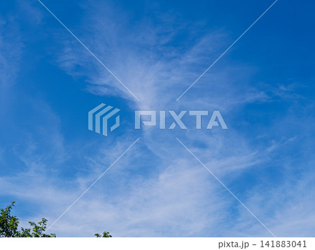 爽やかな青空と白い雲 爽やかな青空と白い雲 141883041