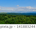 Panoramic Forest and Blue Mountain Horizon 141883244