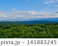 Panoramic Forest and Blue Mountain Horizon 141883245