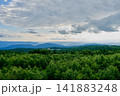 Overcast Mountain Forest Panorama 141883248