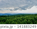 Overcast Mountain Forest Panorama 141883249