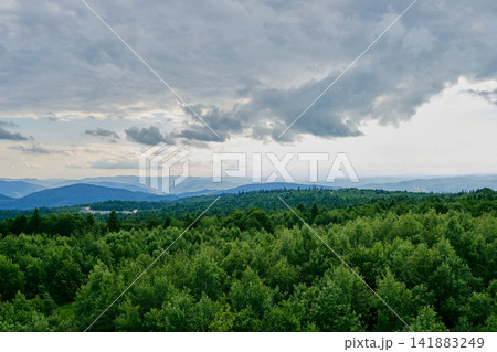 Overcast Mountain Forest Panorama Overcast Mountain Forest Panorama 141883249