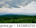 Misty Mountain Forest Panorama 141883250