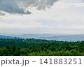 Overcast Mountain Forest Panorama 141883251