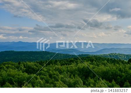 Panoramic Mountain Forests and Blue Ridges Panoramic Mountain Forests and Blue Ridges 141883257
