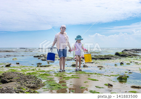 Asian Family Exploring Rocky Beach Tide Pool During Summer Vacation 141883500