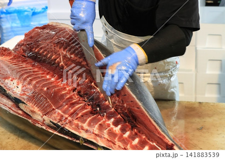 マグロ職人に捌かれる生の本マグロ マグロ職人に捌かれる生の本マグロ 141883539