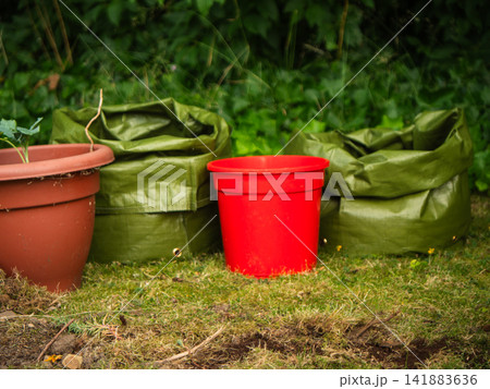 Green grow bag and plant pots Green grow bag and plant pots 141883636