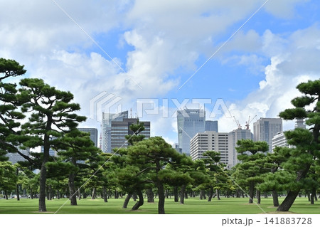 皇居前広場と日比谷方面のビル群 皇居前広場と日比谷方面のビル群 141883728