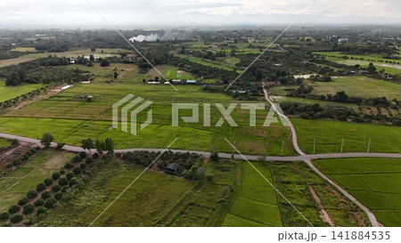 Green rice Fileds aerial view Thailand countryside Green rice Fileds aerial view Thailand countryside 141884535