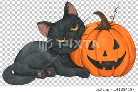 Halloween black cat illustration set, cute kitten with pumpkin jack o lantern, spooky autumn holiday decor. hand drawn cartoon character for happy Halloween party. Halloween black cat illustration set, cute kitten with pumpkin jack o lantern, spooky autumn holiday decor. hand drawn cartoon character for happy Halloween party. 141884587