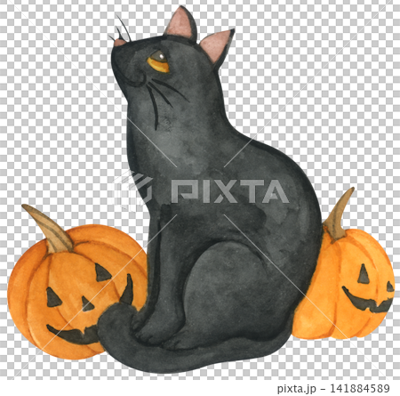 Halloween black cat illustration set, cute kitten with pumpkin jack o lantern, spooky autumn holiday decor. hand drawn cartoon character for happy Halloween party. Halloween black cat illustration set, cute kitten with pumpkin jack o lantern, spooky autumn holiday decor. hand drawn cartoon character for happy Halloween party. 141884589
