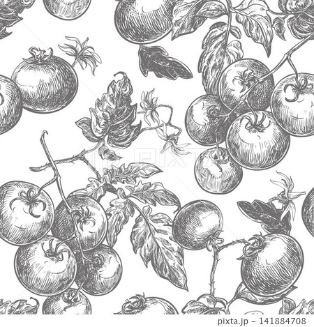 A seamless pattern of pomidoro branches. A backdrop for packaging and textiles. Branches with round cherry tomatoes, leaves, and flowers intertwined. Vector line sketch in a retro ink style. 141884708