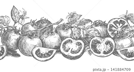 A horizontal pattern of whole pomidoro, halves, and slices lying on a table. Vector ink drawing imitating engraving. Farm tomatoes in retro style. Seamless border for juice and ketchup packaging. 141884709