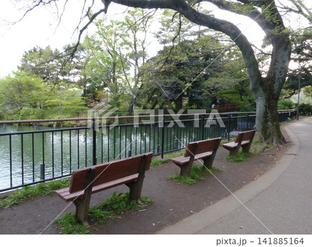 大田区立洗足池公園  東急池上線洗足池駅　東京都大田区南千束　東京都指定名勝　水生植物園  厳島神社 141885164