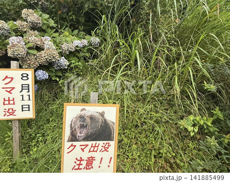 クマ出没を知らせる看板 クマ出没を知らせる看板 141885499