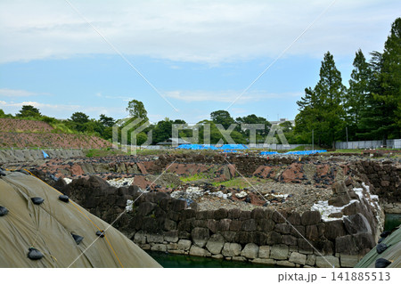 静岡・駿府城公園 静岡・駿府城公園 141885513