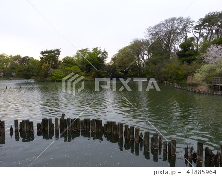 大田区立洗足池公園 東急池上線洗足池駅 東京都大田区南千束 東京都指定名勝 大田区立洗足池公園 東急池上線洗足池駅 東京都大田区南千束 東京都指定名勝 141885964