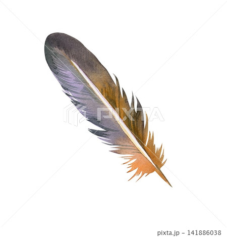Watercolor bird feather in purple grey and warm orange tones, hand painted boho plumage illustration 141886038