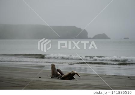 落石海岸 落石海岸 141886510