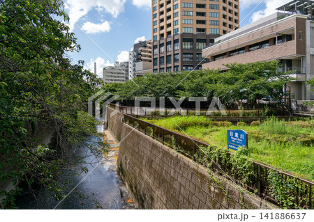 《東京都》日本の都市景観 真夏の新緑あふれる目黒川を望む(令和8年8月) 《東京都》日本の都市景観 真夏の新緑あふれる目黒川を望む(令和8年8月) 141886637