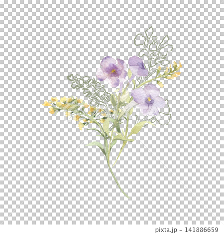 Delicate watercolor bouquet of purple pansy and yellow wildflower isolated. Soft flowers illustration with outline sketch elements hand drawn. Romantic botanical sketch for design greeting card. 141886659