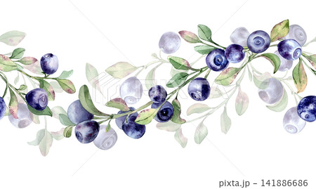 Fresh blueberry watercolor seamless border isolated. Northern berry on rippled branches repeat design for textile. Wild berry and green leaves botanical background for fabric and packaging. 141886686