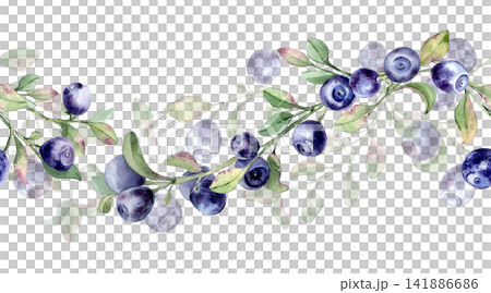 Fresh blueberry watercolor seamless border isolated. Northern berry on rippled branches repeat design for textile. Wild berry and green leaves botanical background for fabric and packaging. 141886686