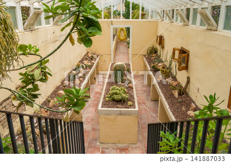 Historic Brick and Glass Greenhouse Filled with Cacti Historic Brick and Glass Greenhouse Filled with Cacti 141887033