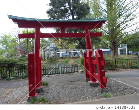 大田区立洗足池公園 東急池上線洗足池駅 東京都大田区南千束 東京都指定名勝 水生植物園 大田区立洗足池公園 東急池上線洗足池駅 東京都大田区南千束 東京都指定名勝 水生植物園 141887338