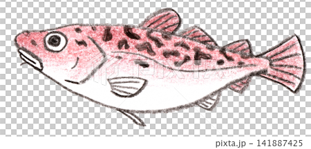 Cod colored pencil drawing Cod colored pencil drawing 141887425