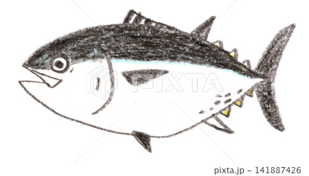 マグロの色鉛筆画 マグロの色鉛筆画 141887426