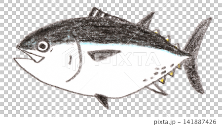 マグロの色鉛筆画 マグロの色鉛筆画 141887426