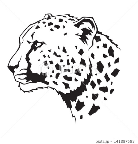 Detailed cheetah head portrait with spotted fur and bold linework Detailed cheetah head portrait with spotted fur and bold linework 141887585