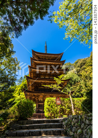 国宝 瑠璃光寺 五重塔【山口県山口市】 国宝 瑠璃光寺 五重塔【山口県山口市】 141887934