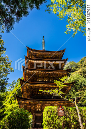 国宝 瑠璃光寺 五重塔【山口県山口市】 国宝 瑠璃光寺 五重塔【山口県山口市】 141887935