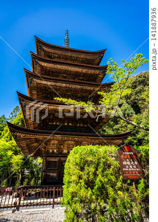 国宝 瑠璃光寺 五重塔【山口県山口市】 141887936
