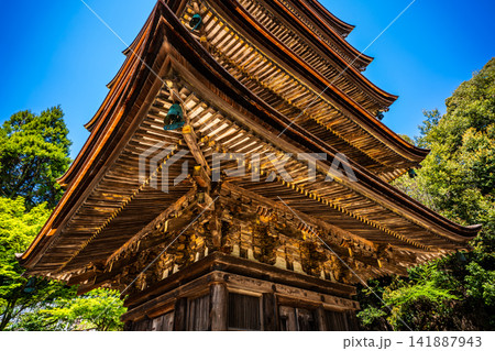 国宝 瑠璃光寺 五重塔【山口県山口市】 141887943