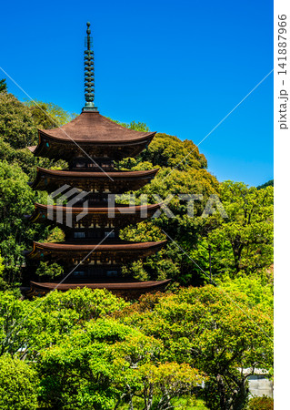 国宝 瑠璃光寺 五重塔【山口県山口市】 国宝 瑠璃光寺 五重塔【山口県山口市】 141887966